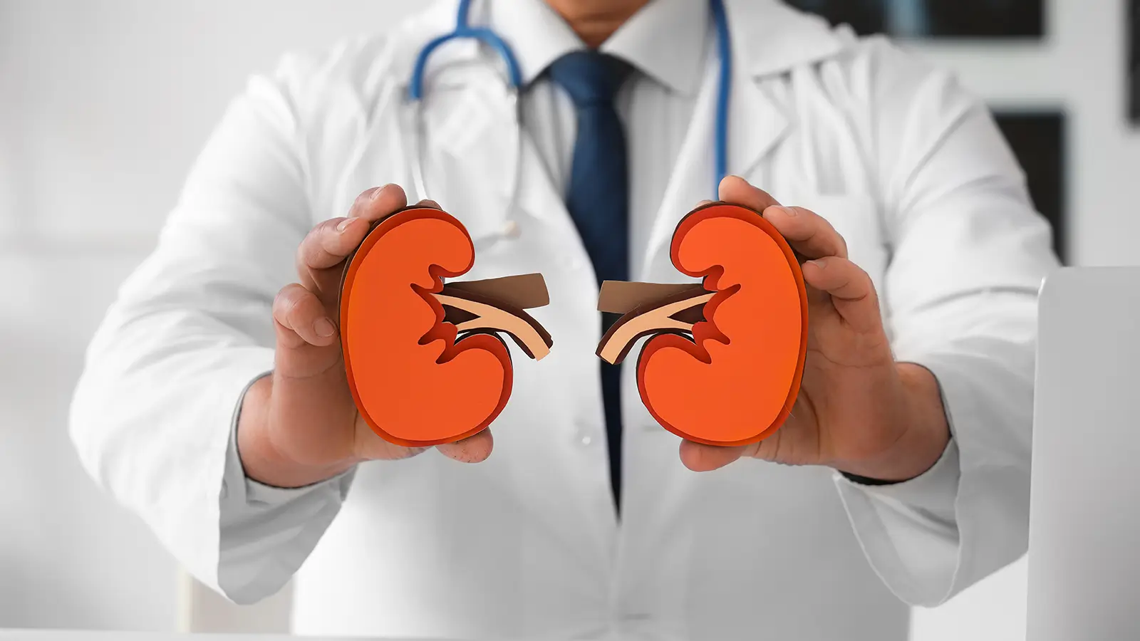 Nephrologist consulting with patient about kidney care